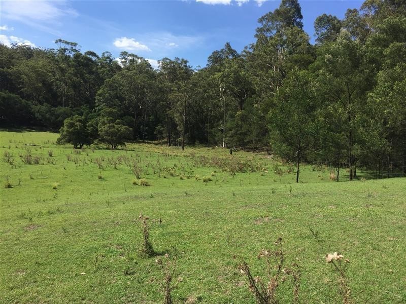 967 Yalwal Road, Bamarang NSW 2540