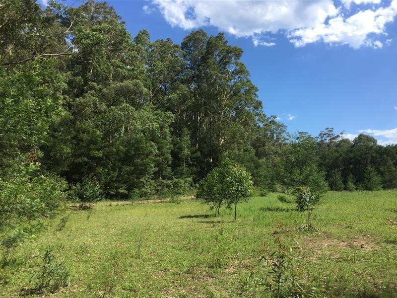 967 Yalwal Road, Bamarang NSW 2540