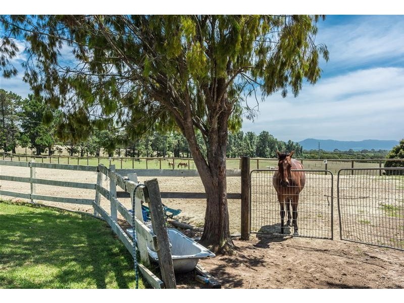 181A BTU Road, Nowra Hill NSW 2540