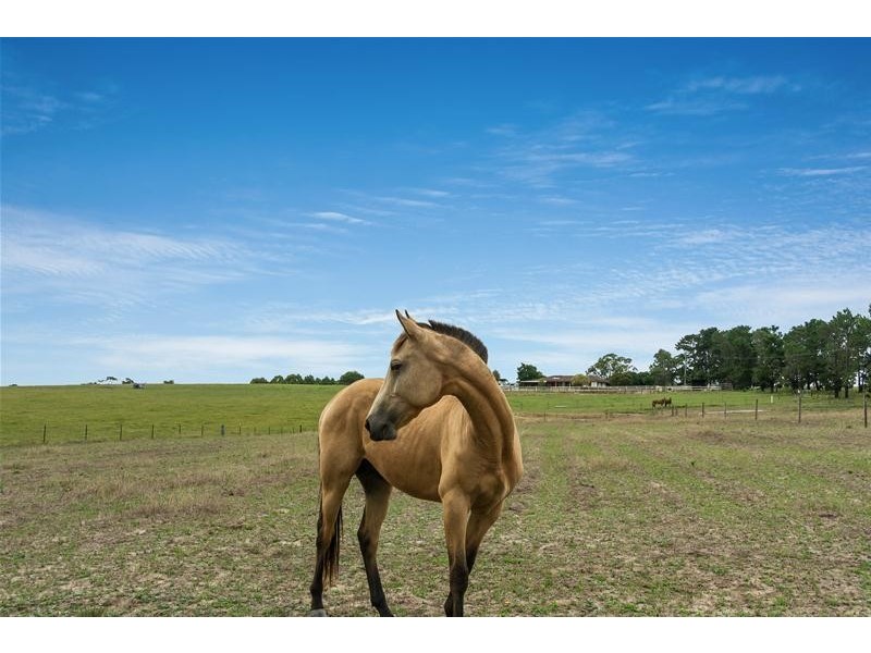 181A BTU Road, Nowra Hill NSW 2540