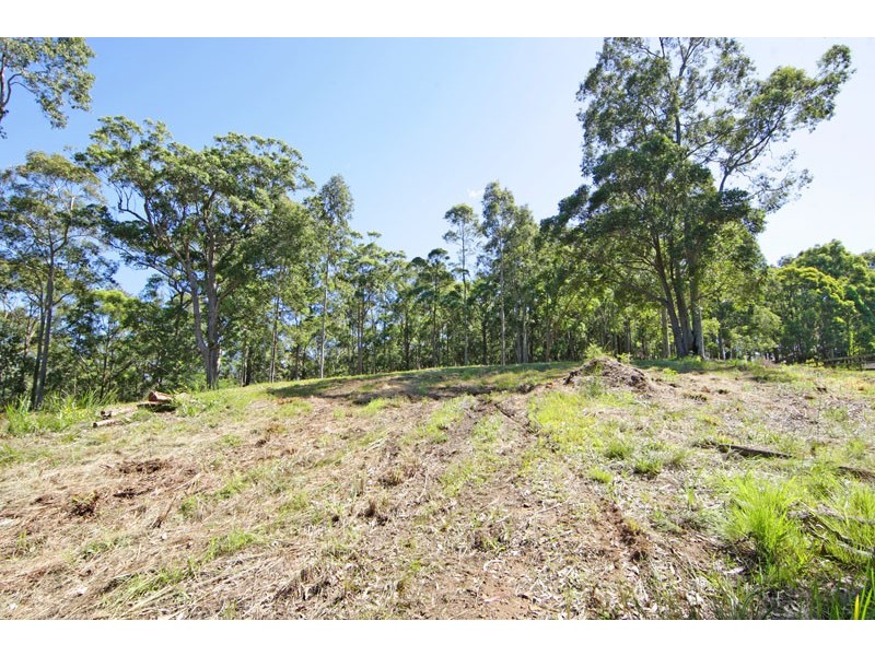 90 Anderson Road, Glenning Valley NSW 2261