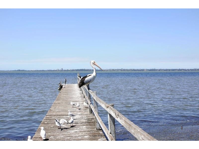 2 Panorama Parade, Berkeley Vale NSW 2261