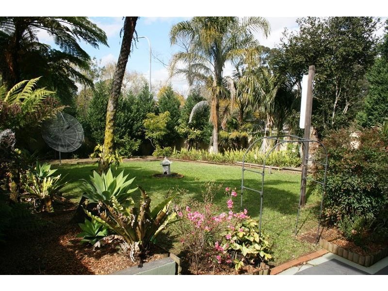 19 Lower Mount Street, Wentworthville NSW 2145