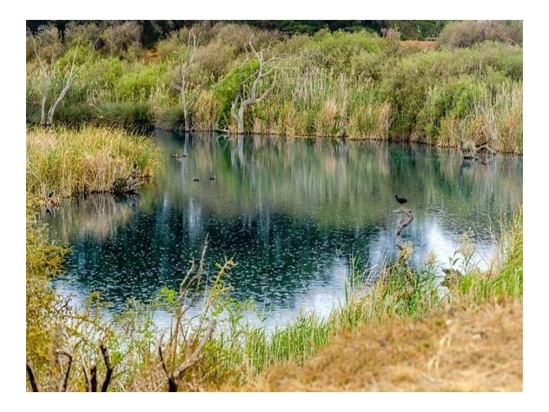 120 Minns Road, Little River VIC 3211