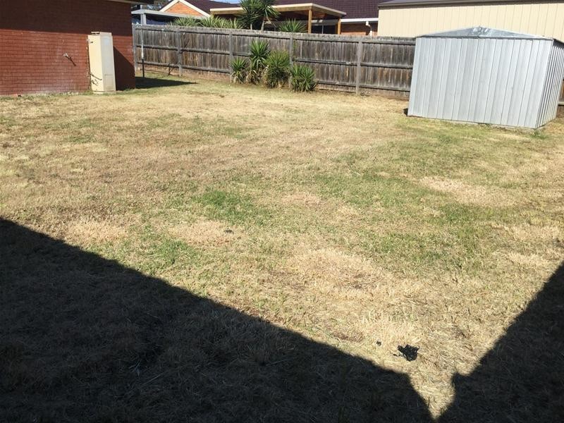 81 Macedon Street, Hoppers Crossing VIC 3029