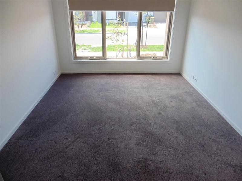 12 Tomago Street, Tarneit VIC 3029