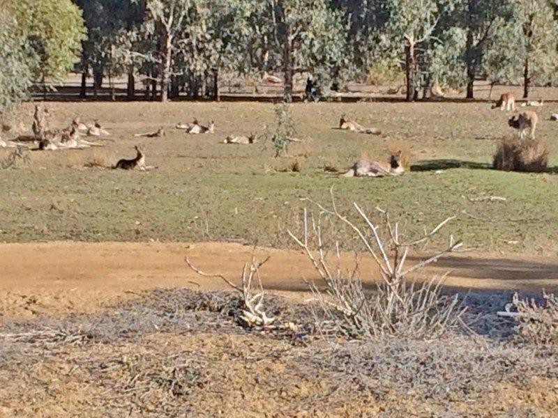 27 Beech Street, Kyabram VIC 3620