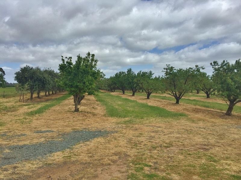 74 Howards Lane, Kyabram VIC 3620