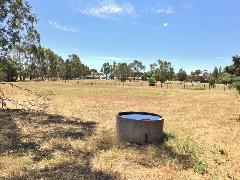 20 Torney Street, Tongala VIC 3621