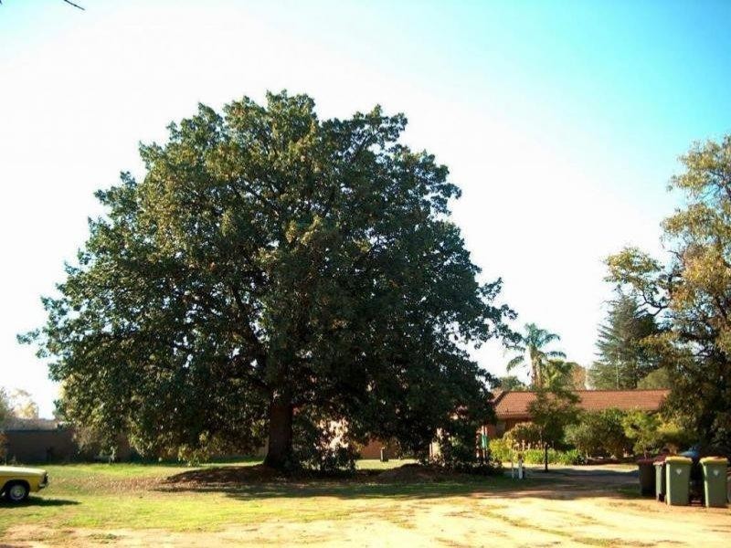 Oak Dene, Kyabram VIC 3620