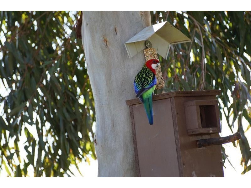 17 Jenmar Drive, Kyabram VIC 3620