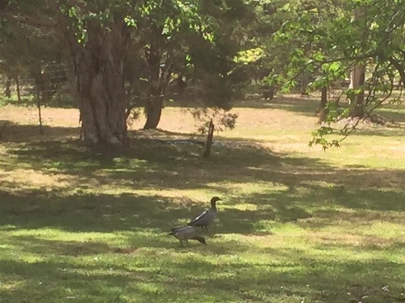 30  Tisdall Road, Kyabram VIC 3620