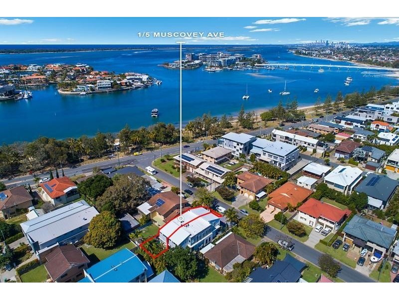 1/5 Muscovey Avenue, Paradise Point QLD 4216