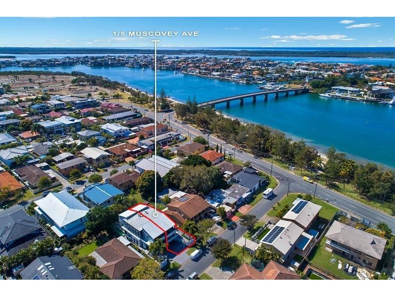 1/5 Muscovey Avenue, Paradise Point QLD 4216
