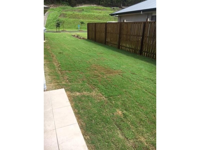 17 Grevillea Crescent, Maudsland QLD 4210