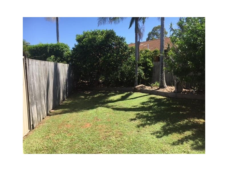 3 Echidna Court, Coombabah QLD 4216