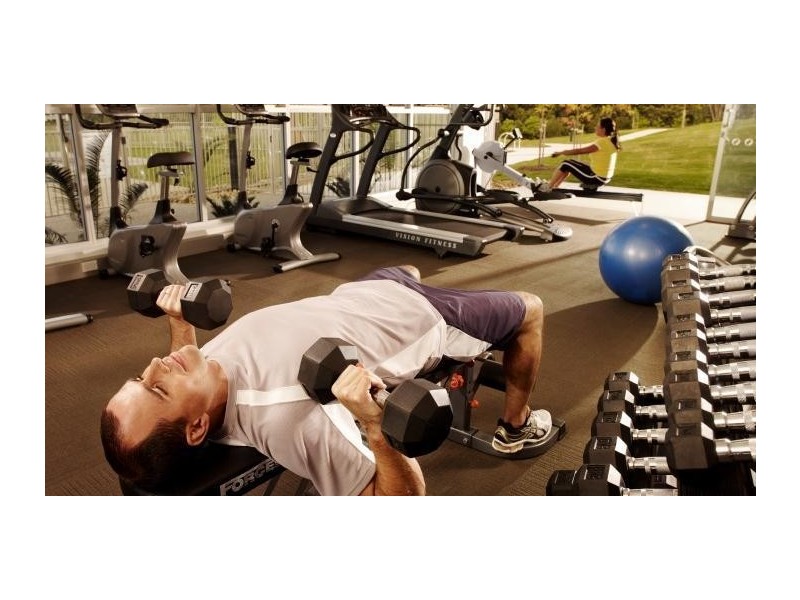 58 Prairie Avenue, Maudsland QLD 4210