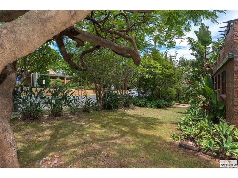 3/74 Bellevue Terrace, Clayfield QLD 4011