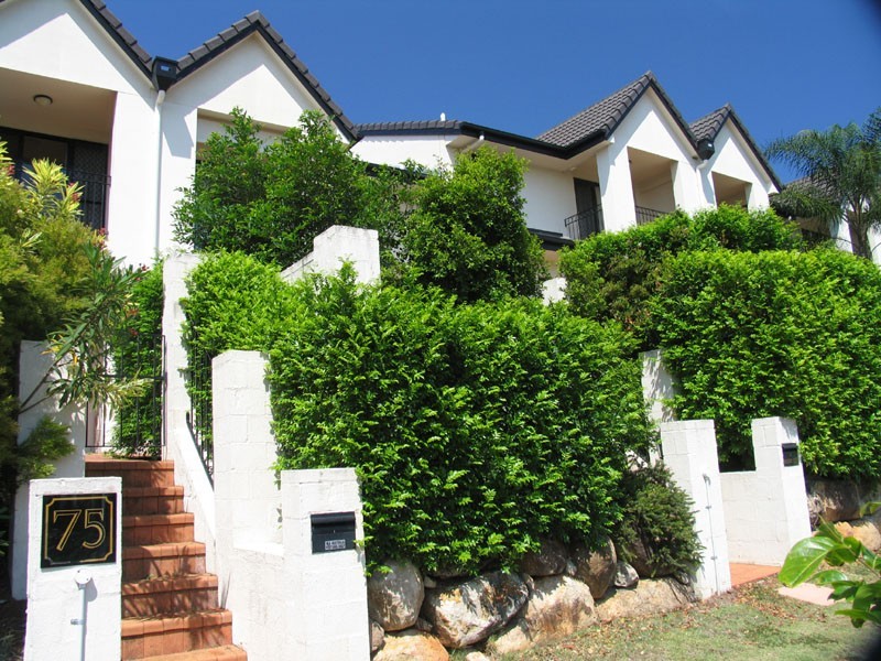 2/75 Bayview Terrace, Clayfield QLD 4011