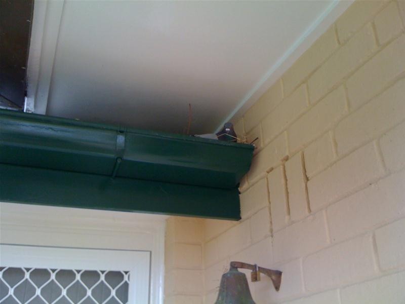 96 Mylne Street, Chermside QLD 4032