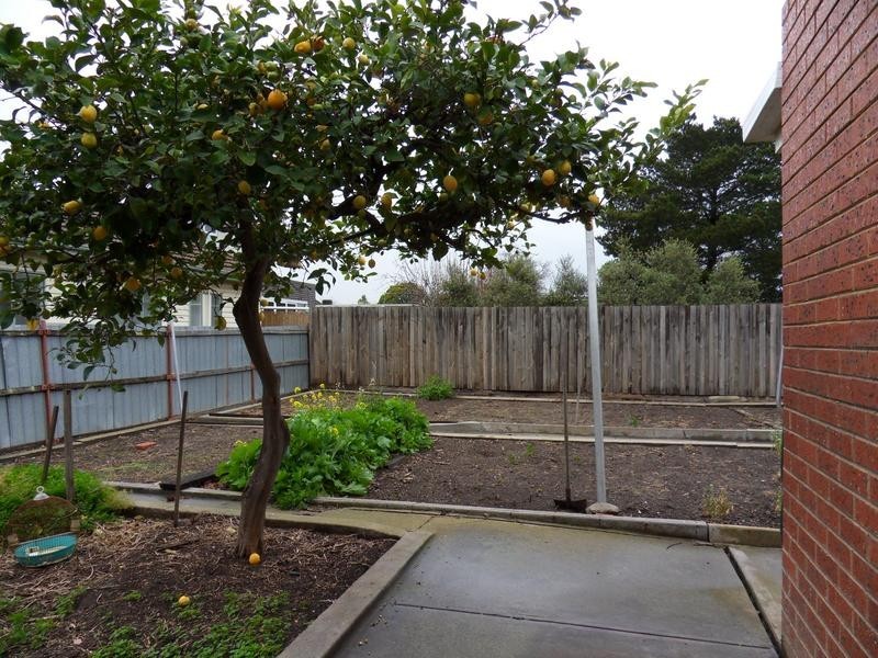 24 Almond Avenue, Brooklyn VIC 3012