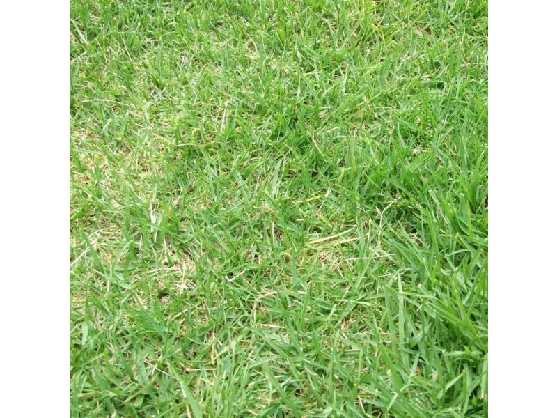 99 Verdant Road, Truganina VIC 3029