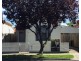 12 Wilkins Street, Newport VIC 3015