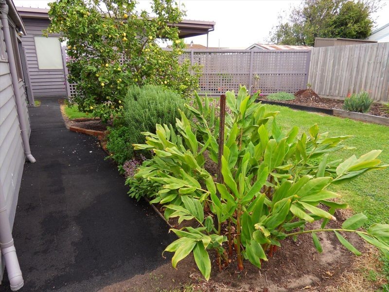 10 Jubilee Street, Newport VIC 3015