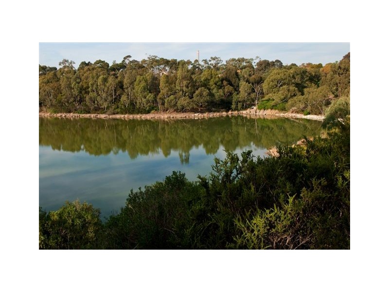 3/33 Bradley Street, Newport VIC 3015