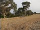 Lot 1,  Dukelows Road, Balliang VIC 3340