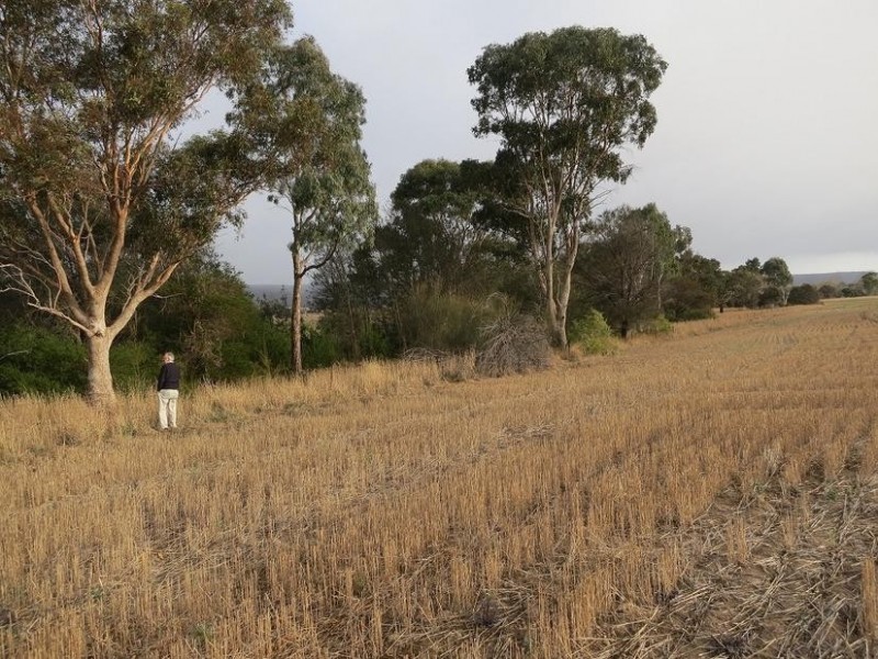 Lot 1,  Dukelows Road, Balliang VIC 3340