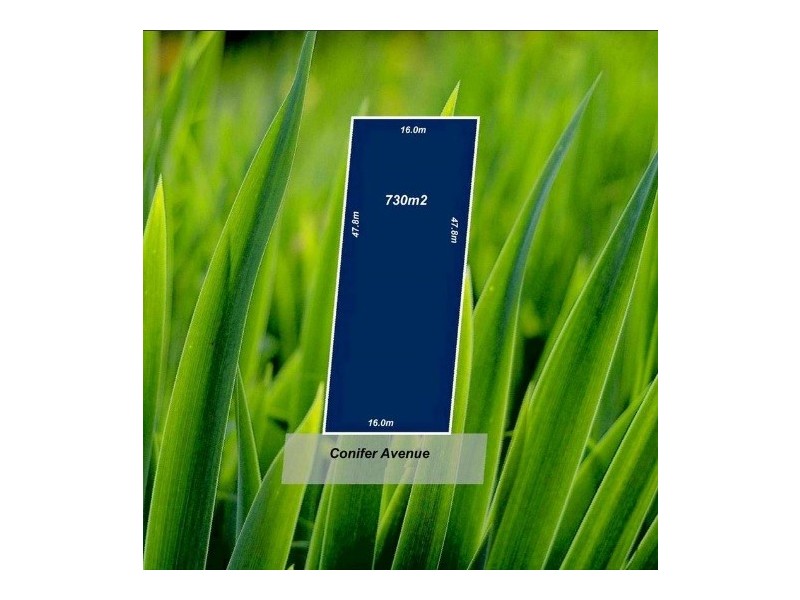 31 Conifer Avenue, Brooklyn VIC 3012