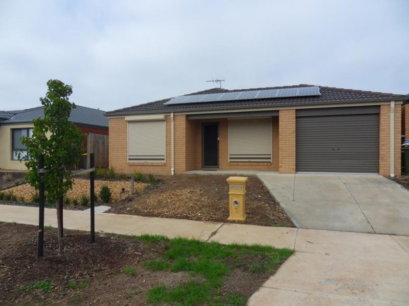 7 Springleaf Road, Tarneit VIC 3029