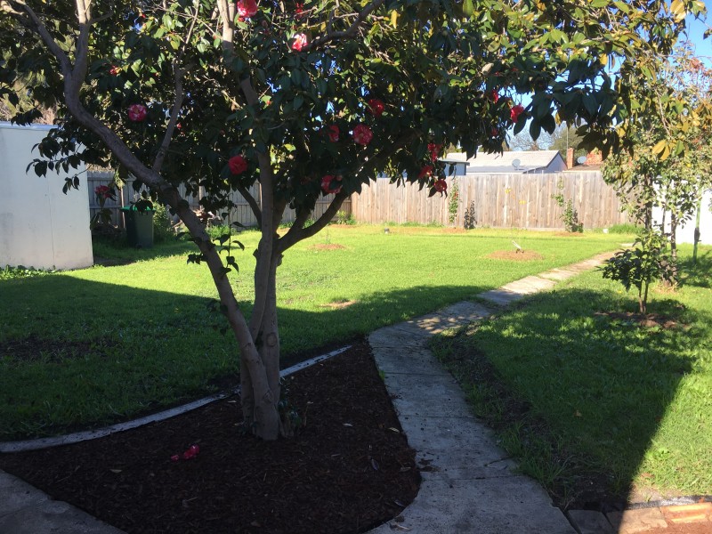 71 The Avenue, Spotswood VIC 3015