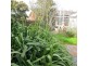 720 Barkly St, West Footscray VIC 3012