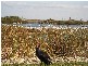 Kororoit Creek
Road, Williamstown VIC 3016
