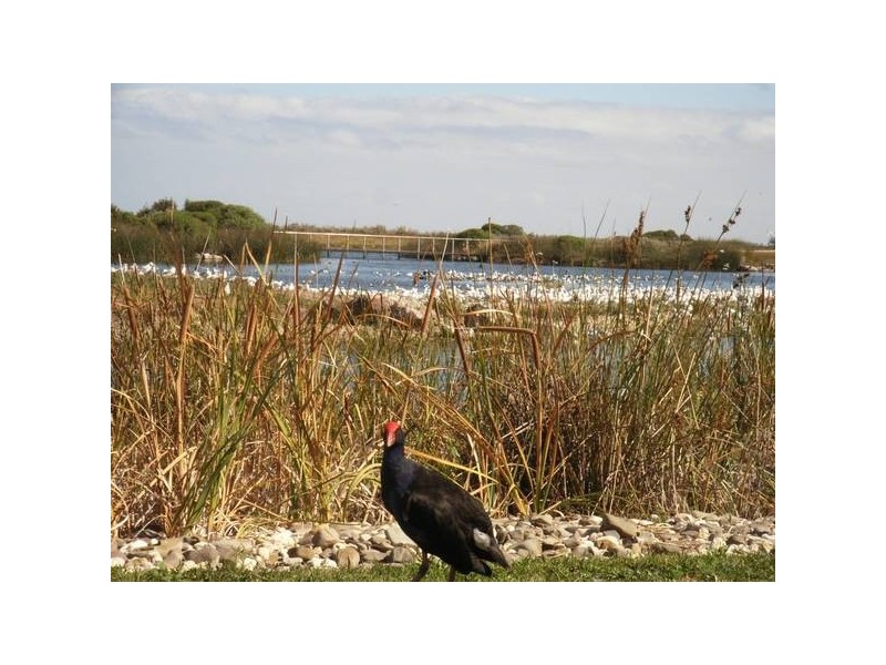Kororoit Creek
Road, Williamstown VIC 3016