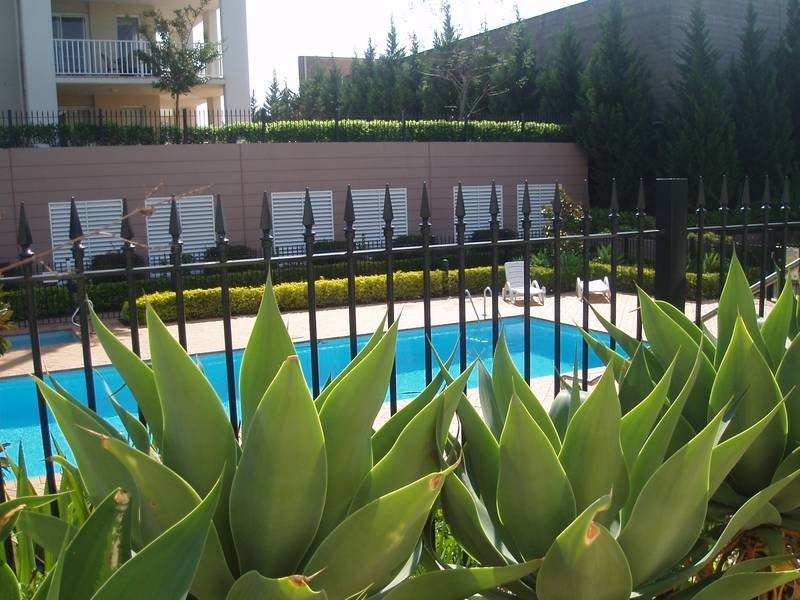 12/6-8 Woodlands Ave, Breakfast Point NSW 2137