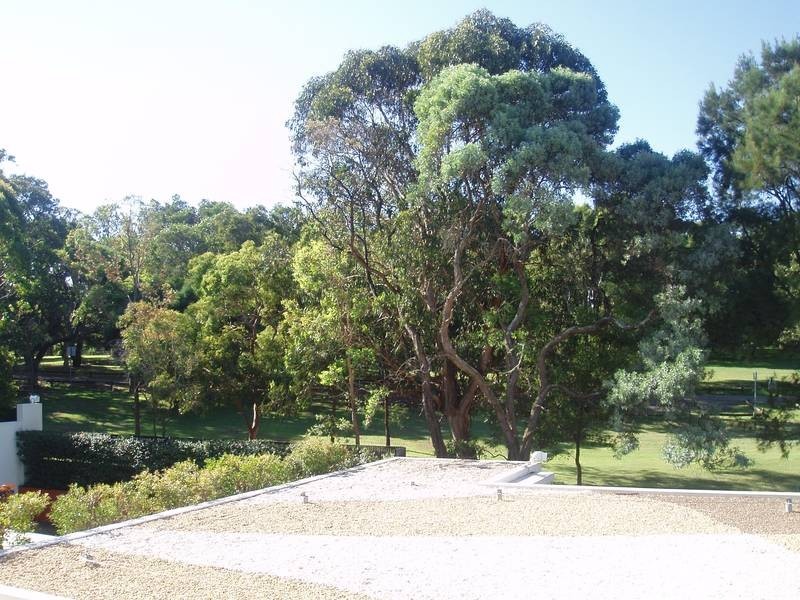 29/1 Bayside Terrace, Cabarita NSW 2137