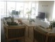 45/17 Orchards Ave, Breakfast Point NSW 2137