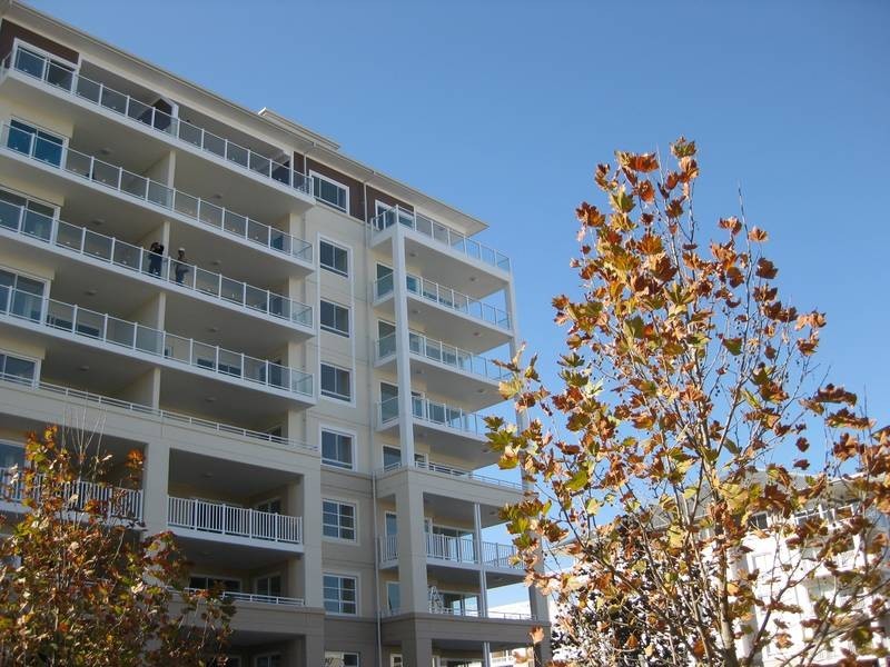 55/17 ORCHARDS AVE, Breakfast Point NSW 2137