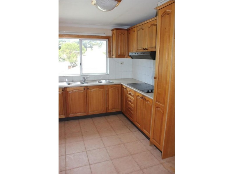43 Gale St, Concord NSW 2137