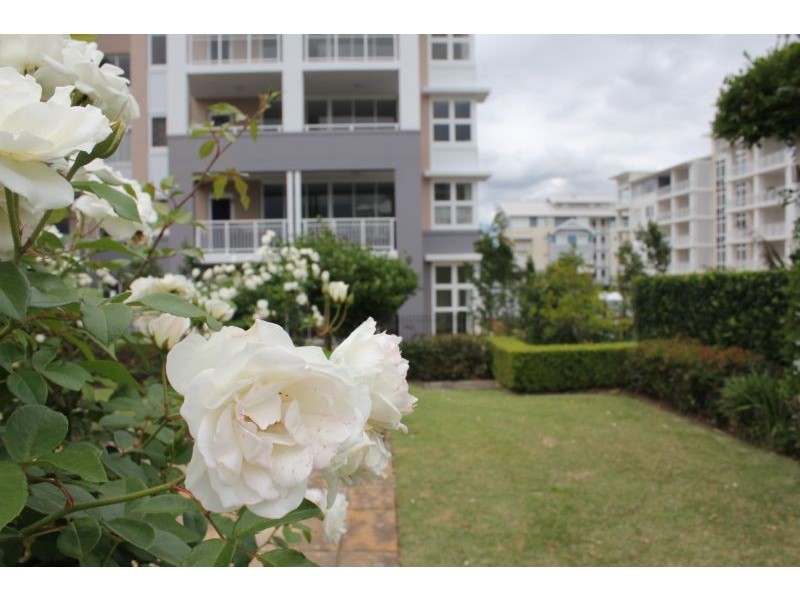 47/1 Rosewater Circuit, Breakfast Point NSW 2137