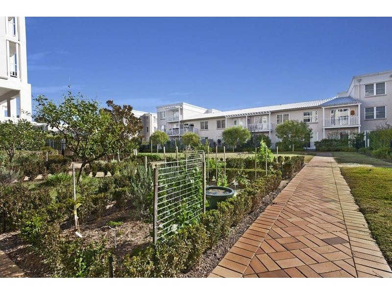 24/20 Orchards Avenue, Breakfast Point NSW 2137
