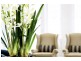 105/4 Rosewater Circuit, Breakfast Point NSW 2137