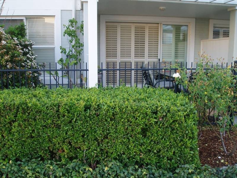 103/2-10 Mimosa Circuit, Breakfast Point NSW 2137
