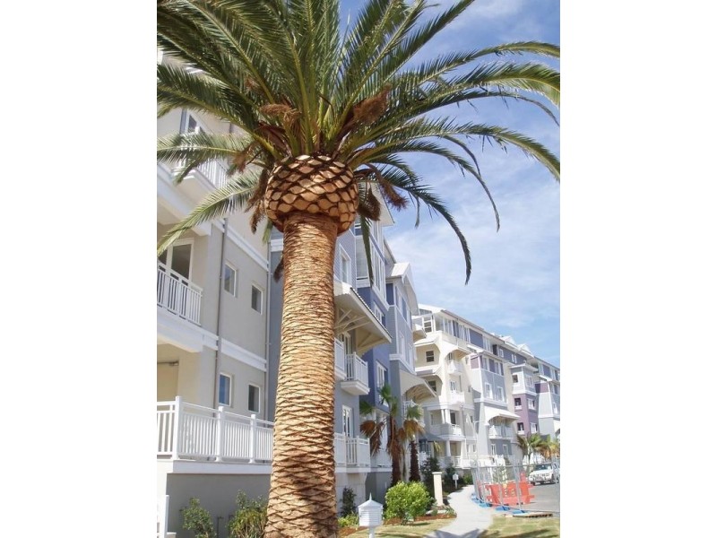 43/77 Peninsula Drive, Breakfast Point NSW 2137