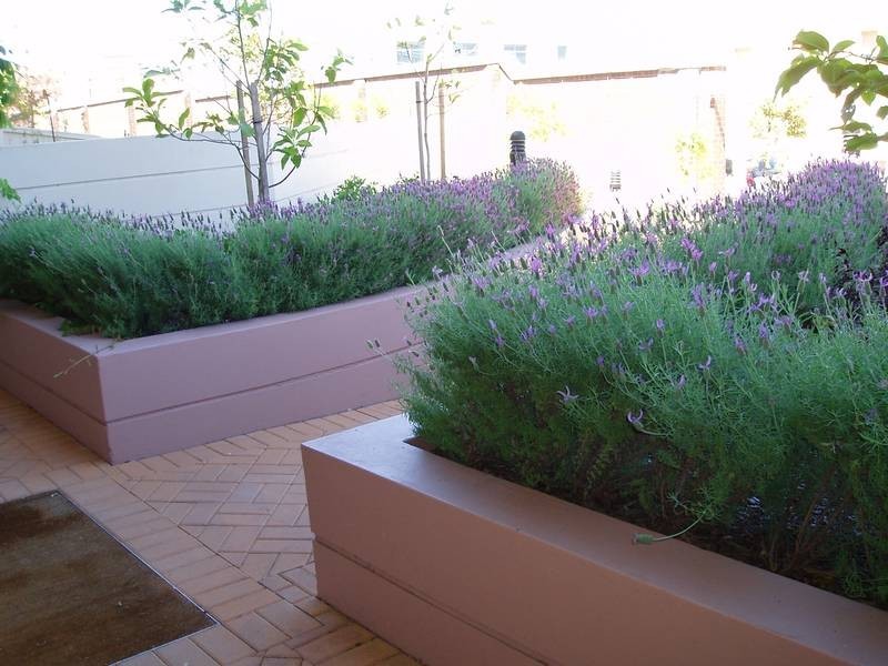 45/21 Tennyson Road, Breakfast Point NSW 2137