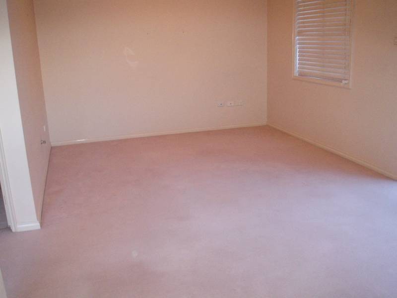 17 Wentworth Ave, Liberty Grove NSW 2138