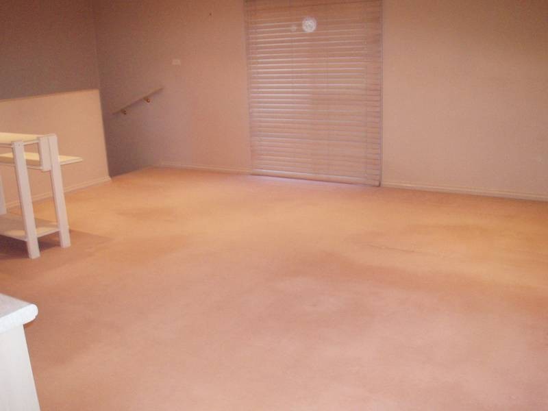 17 Wentworth Ave, Liberty Grove NSW 2138